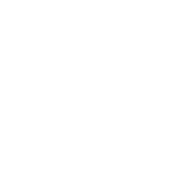 open_icon