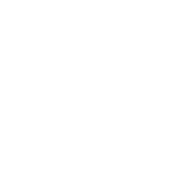 open_icon
